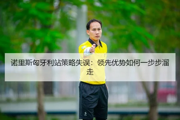 诺里斯匈牙利站策略失误：领先优势如何一步步溜走