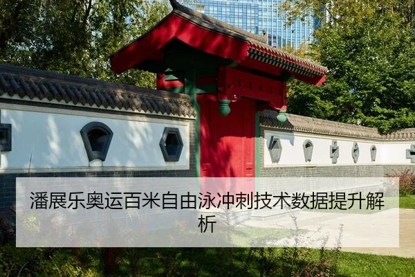 pan-zhan-le-ao-yun-bai-mi-zi-you-yong-chong-ci-ji-shu-shu-ju-ti-sheng-jie-xi-3-132.jpg