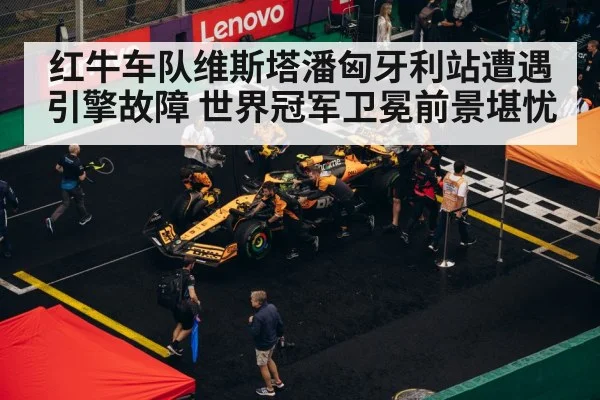 红牛车队维斯塔潘匈牙利站遭遇引擎故障 世界冠军卫冕前景堪忧